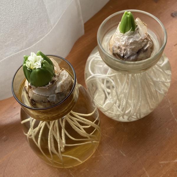 整理収納で笑顔を作る