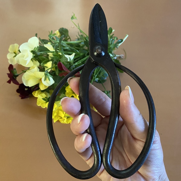 義母の花切りバサミ